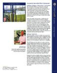 Amsterdam Metro Case Study PDF