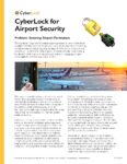 Airport Security Case Study PDF